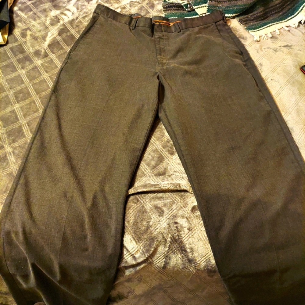 Dress pants